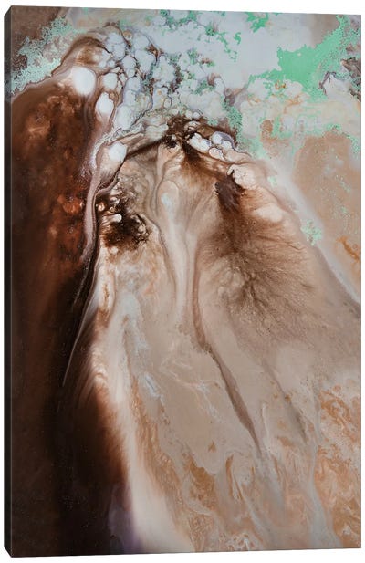 Rustic Reverie Canvas Art Print - Agate, Geode & Mineral Art