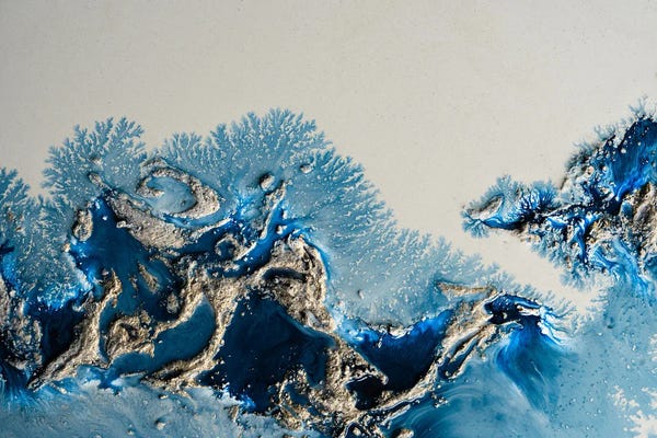 Petra Meikle de Vlas: Wondering Waters by Petra Meikle de Vlas