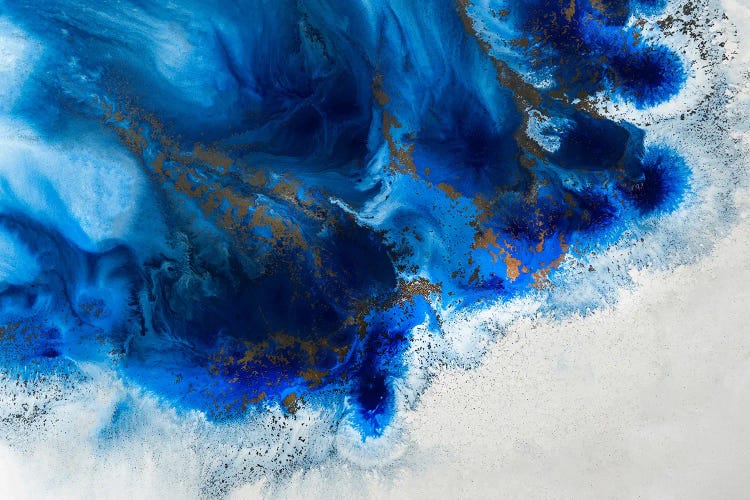 Graceful Release by Petra Meikle de Vlas wall art