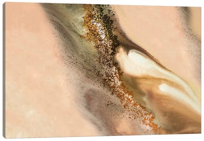 Coastal Dunes Canvas Art Print - Agate, Geode & Mineral Art
