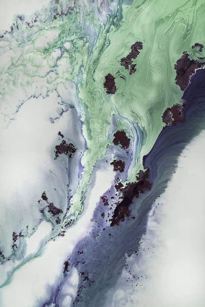 Petra Meikle de Vlas: Delta by Petra Meikle de Vlas