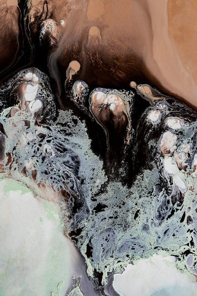 Kalahari by Petra Meikle de Vlas gallery poster