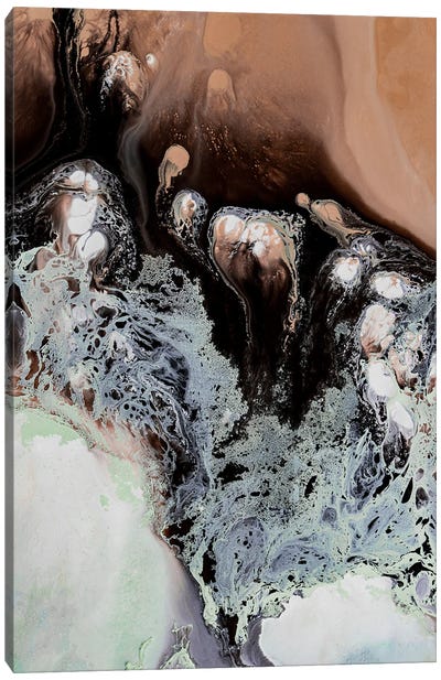 Kalahari Canvas Art Print - Agate, Geode & Mineral Art