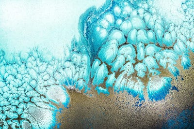 Moonlit Reef by Petra Meikle de Vlas gallery poster