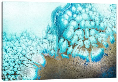 Moonlit Reef Canvas Art Print - Petra Meikle de Vlas