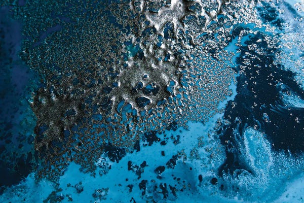 Petra Meikle de Vlas: Awakening by Petra Meikle de Vlas