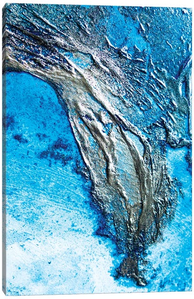 Coastal Reflection Canvas Art Print - Petra Meikle de Vlas