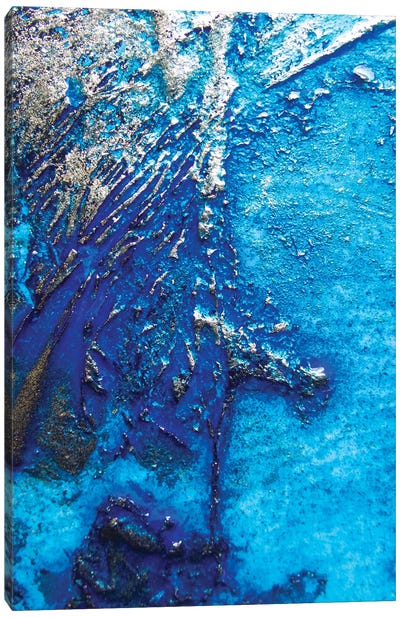Cobalt Blues Canvas Art Print - Petra Meikle de Vlas