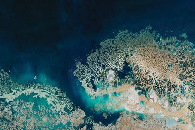 Gold Elegant Ocean Art by Petra Meikle de Vlas canvas print