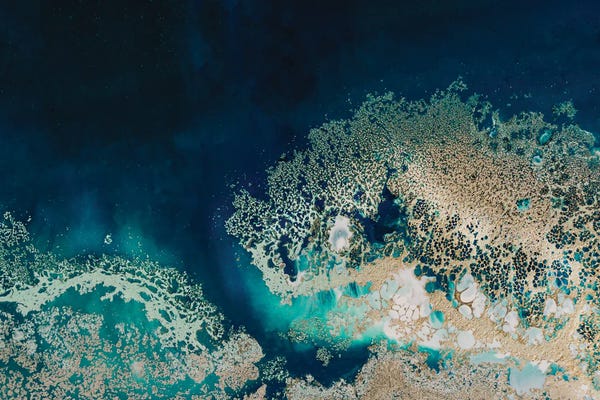 Petra Meikle de Vlas: Gold Elegant Ocean Art by Petra Meikle de Vlas