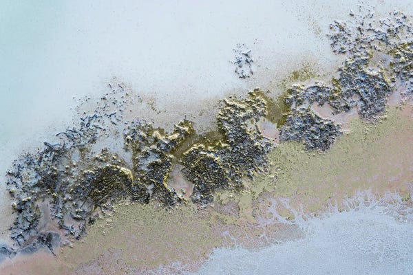 Petra Meikle de Vlas: Abstract Painting by Petra Meikle de Vlas