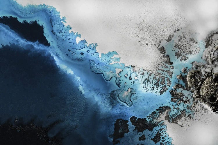 Maritime Majesty by Petra Meikle de Vlas wall art