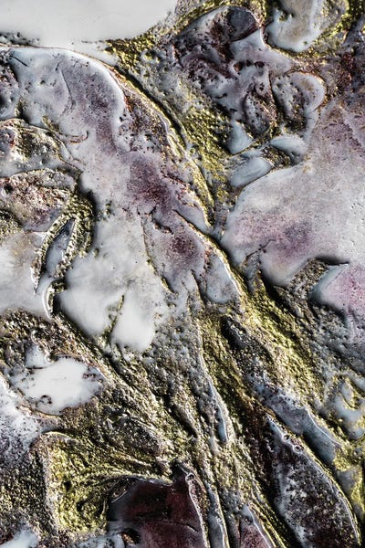 Petra Meikle de Vlas: Spanish Gold by Petra Meikle de Vlas