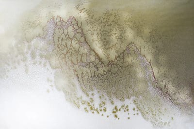 Earth Song by Petra Meikle de Vlas canvas print