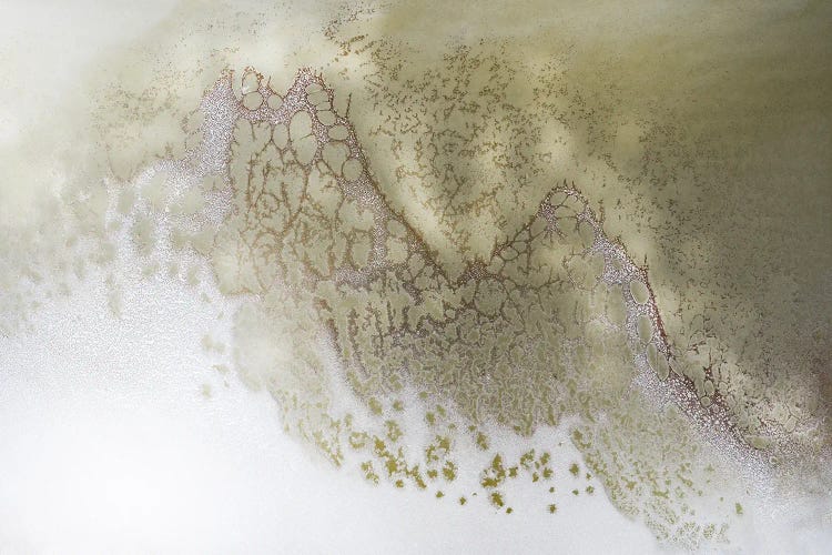 Earth Song by Petra Meikle de Vlas wall art