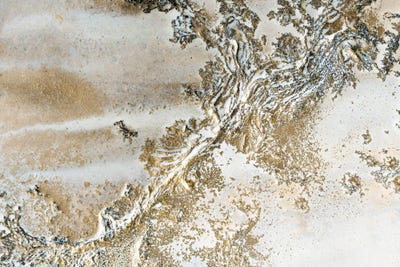 Entwined by Petra Meikle de Vlas canvas print