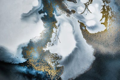 Midnight Motion by Petra Meikle de Vlas canvas print