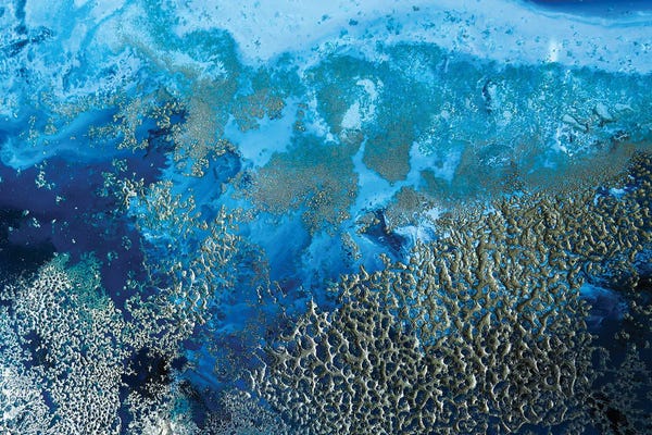 Petra Meikle de Vlas: Revitalize by Petra Meikle de Vlas