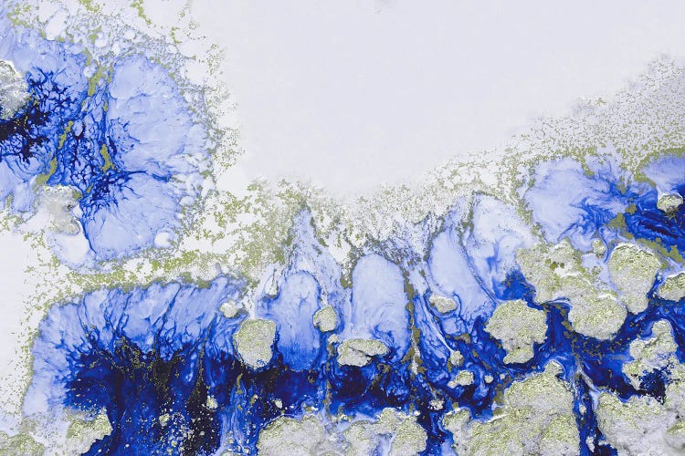 Treasure Reef by Petra Meikle de Vlas wall art