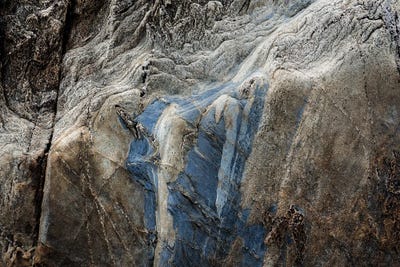 Dingley Green - Canvas Prints: Memory Of Motion by Petra Meikle de Vlas