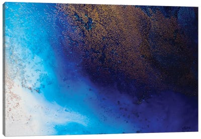 The Big Blue Canvas Art Print - Petra Meikle de Vlas