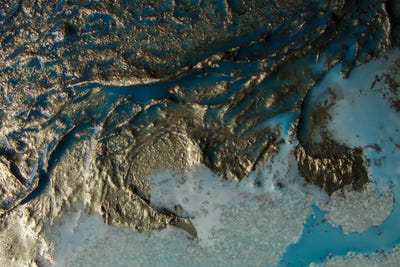 Alive by Petra Meikle de Vlas art print