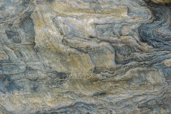 Petra Meikle de Vlas: Pale Drift by Petra Meikle de Vlas