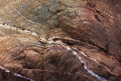 Dingley Green - Canvas Prints: Earth Sing by Petra Meikle de Vlas