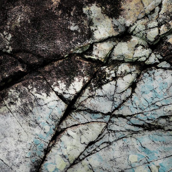 Petra Meikle de Vlas: Shadow Passage by Petra Meikle de Vlas