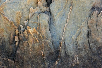 Petra Meikle de Vlas