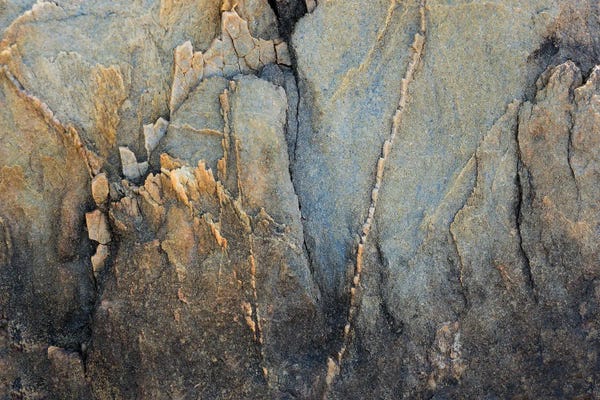 Petra Meikle de Vlas