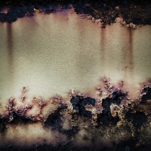 Living Room Wall Art: Iron Divide by Petra Meikle de Vlas