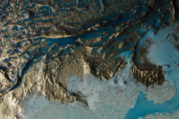 Petra Meikle de Vlas: Alive by Petra Meikle de Vlas