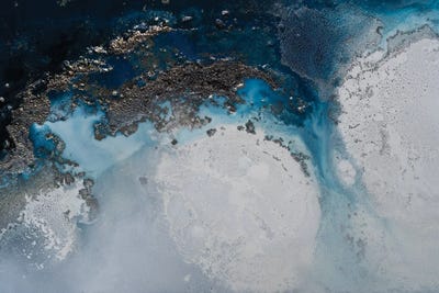 Liberation by Petra Meikle de Vlas canvas print