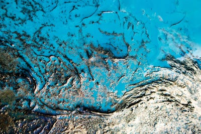 Sky Blue Secrets by Petra Meikle de Vlas canvas print