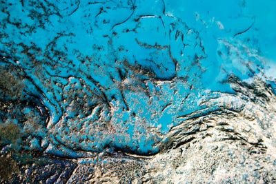 A Sky Blue Secret by Petra Meikle de Vlas art print