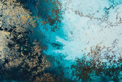 Clear Waters by Petra Meikle de Vlas multi panel art