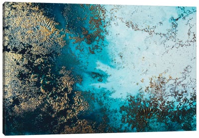 Clear Waters Canvas Art Print - Petra Meikle de Vlas