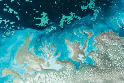 The Oasis by Petra Meikle de Vlas multi panel art