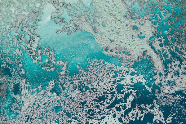 Petra Meikle de Vlas: Tranquil by Petra Meikle de Vlas