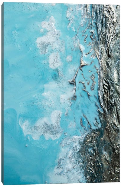 Oceanic Obession Canvas Art Print - Petra Meikle de Vlas