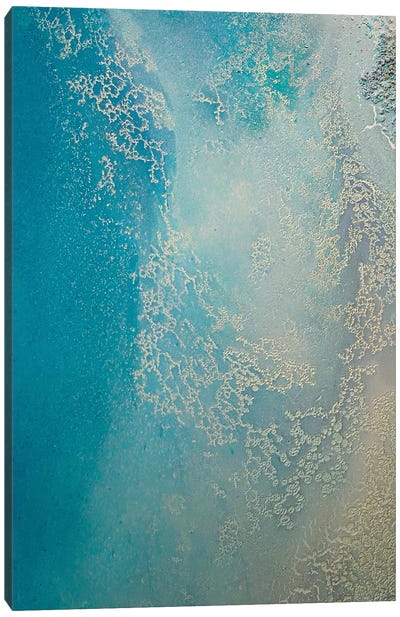 Shallow Waters Canvas Art Print - Petra Meikle de Vlas