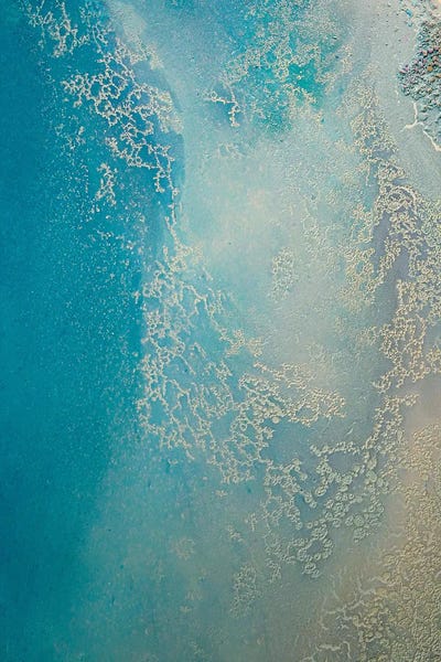 Petra Meikle de Vlas: Shallow Waters by Petra Meikle de Vlas