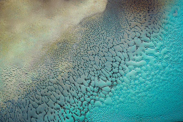 Petra Meikle de Vlas: Earthbound by Petra Meikle de Vlas