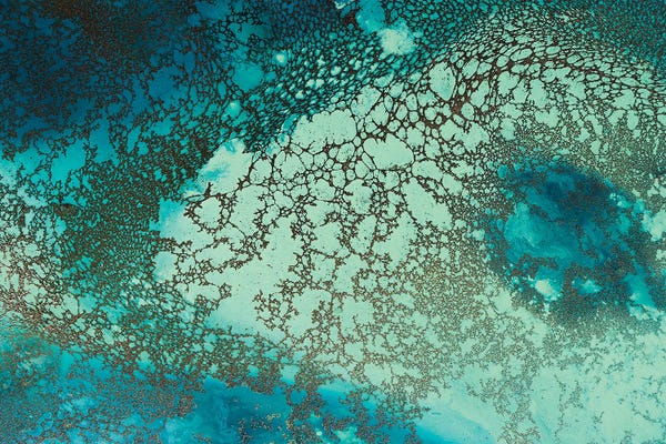 Petra Meikle de Vlas: Intricate Riddle by Petra Meikle de Vlas