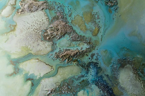 Petra Meikle de Vlas: Journey by Petra Meikle de Vlas