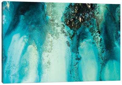 Ocean Jewels Canvas Art Print - Petra Meikle de Vlas