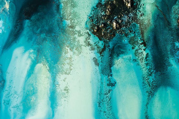 Petra Meikle de Vlas: Ocean Jewels by Petra Meikle de Vlas