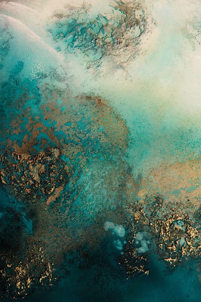 Petra Meikle de Vlas: Reef Shimmer by Petra Meikle de Vlas