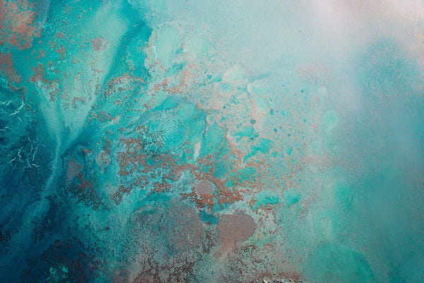 Petra Meikle de Vlas: Shimmering by Petra Meikle de Vlas